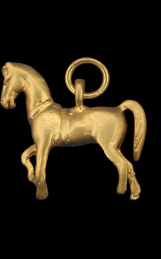 Noble Equestrian Charm